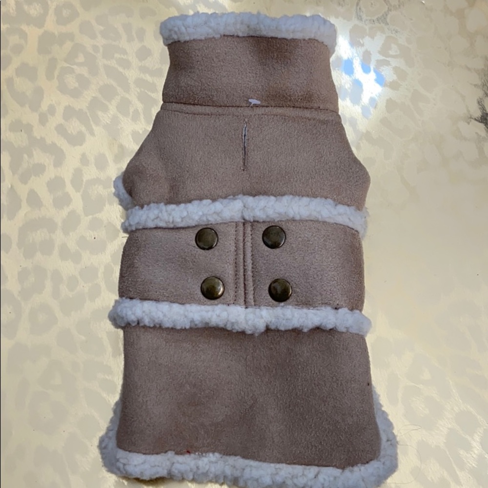 Winter Puppy Coat